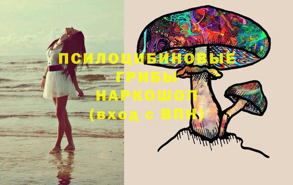наркотики Богданович
