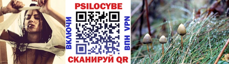 где найти наркотики  Костерёво  Галлюциногенные грибы Cubensis 